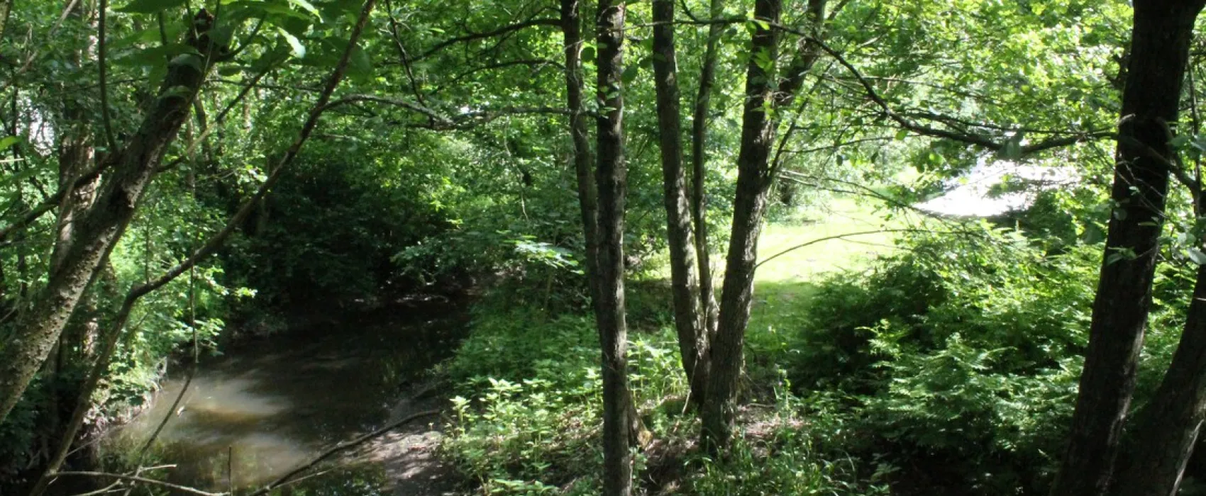 Camping zur Weissenthalsmühle