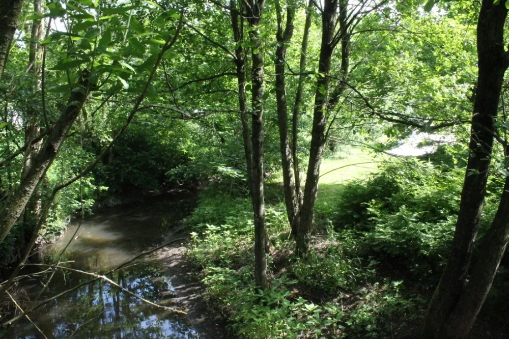 Camping zur Weissenthalsmühle