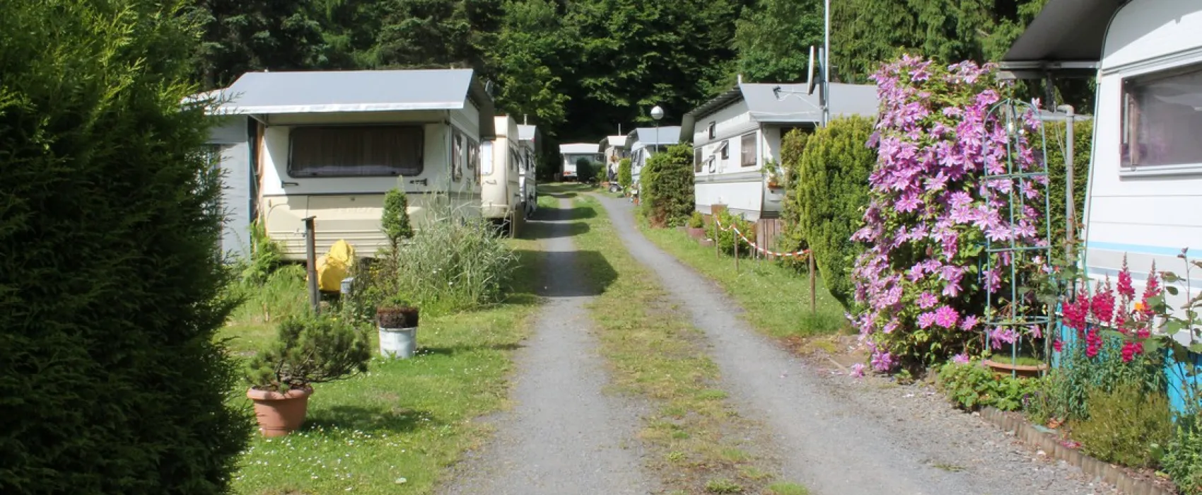 Camping zur Weissenthalsmühle