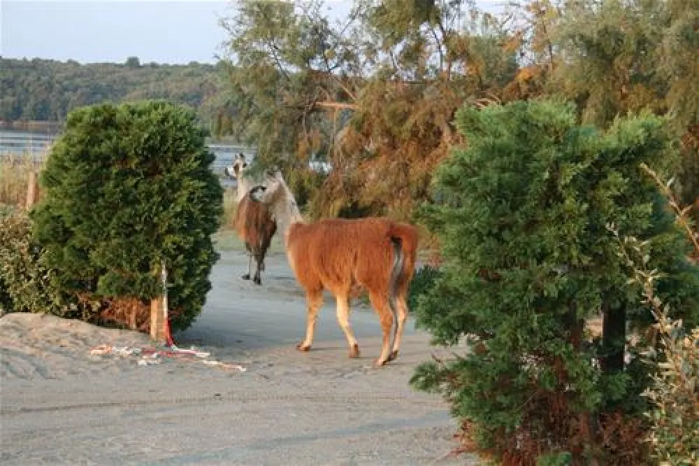 Riva Bella - Thalasso & Spa Resort