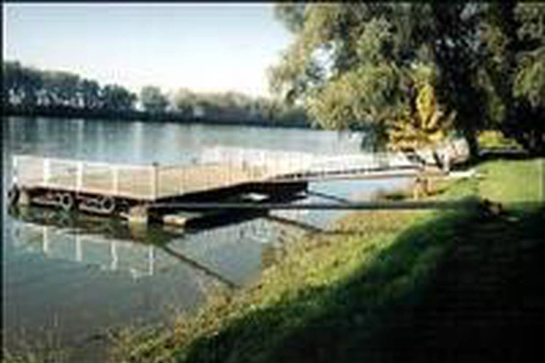 Tiszaparti Camping photo 2