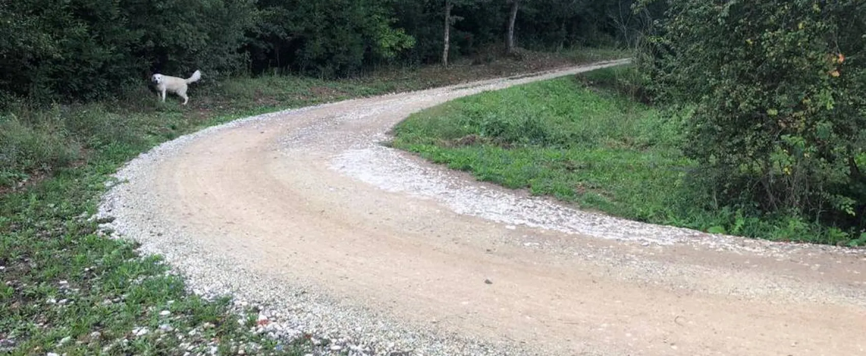 Agricampeggio La Valle