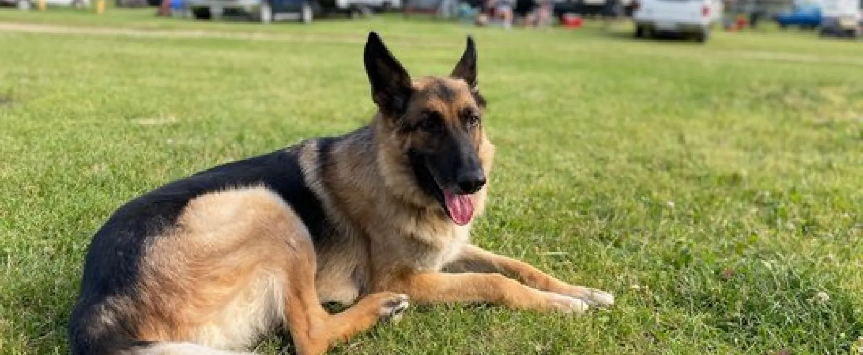 Blackhawk Camping Resort