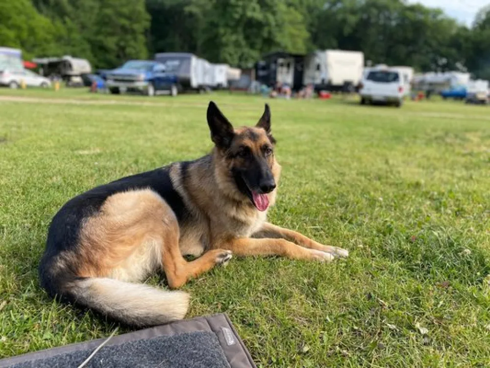 Blackhawk Camping Resort