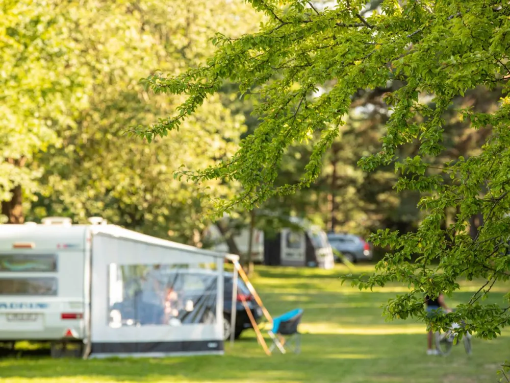 DCU Camping Rørvig Strand
