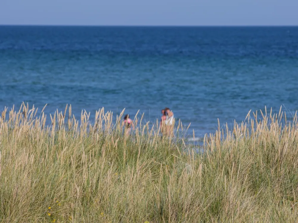 DCU Camping Rørvig Strand