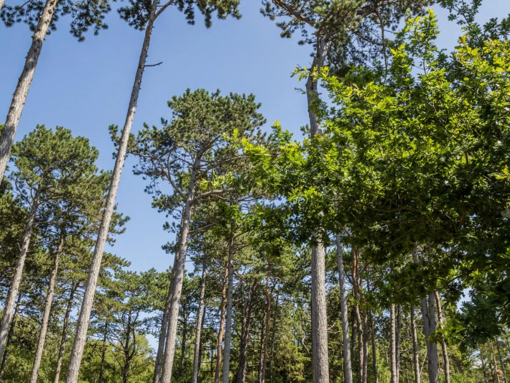 DCU Camping Rørvig Strand