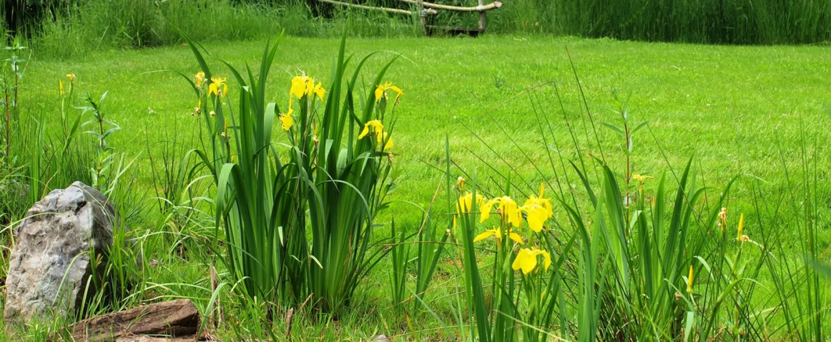 Minicamping De Torenvalk