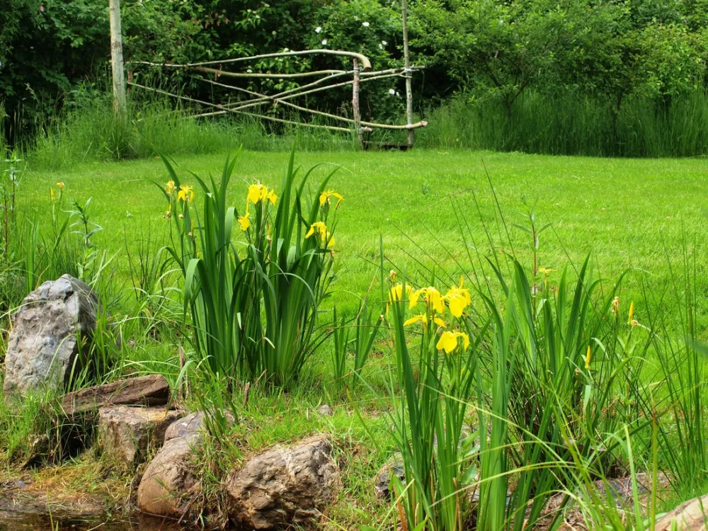 Minicamping De Torenvalk