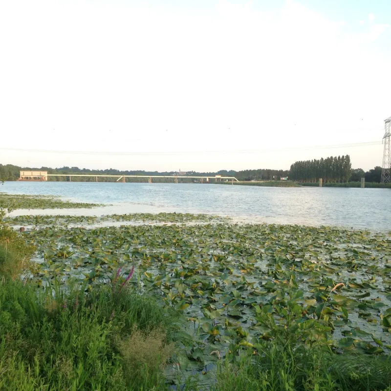 Hortus La Route des Vins