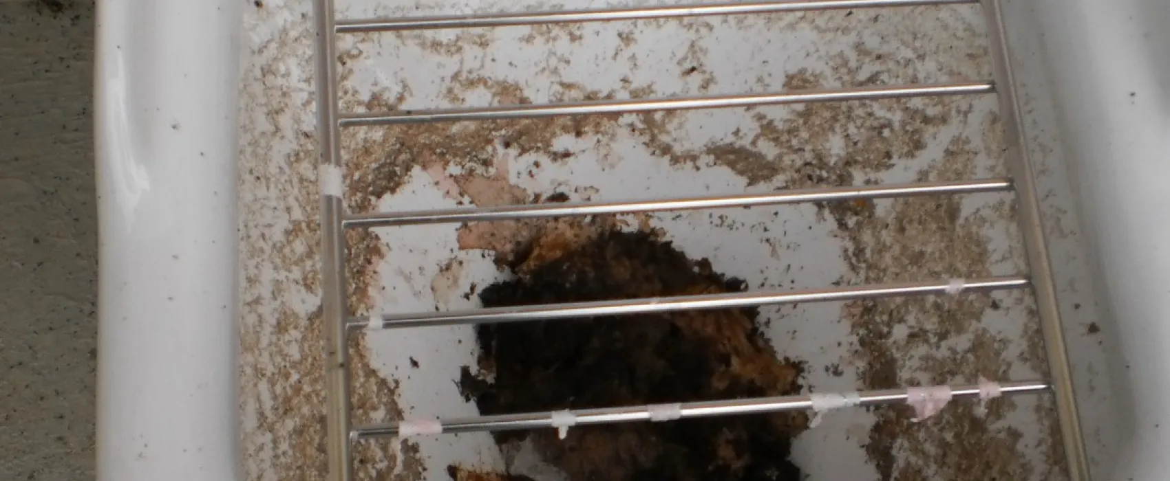 Hortus La Route des Vins