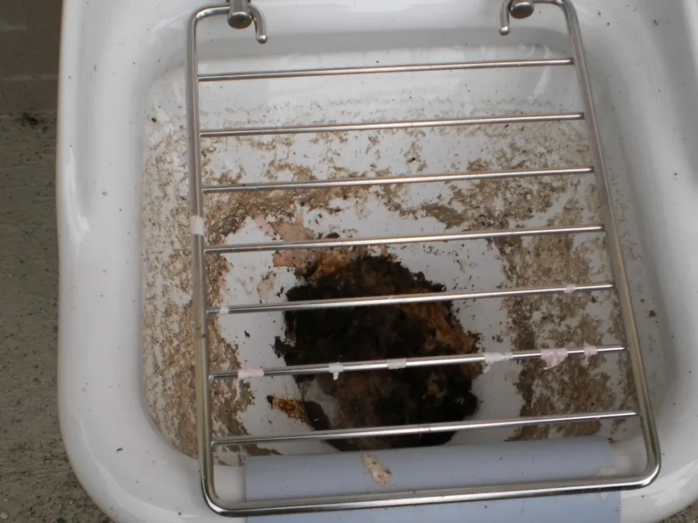 Hortus La Route des Vins