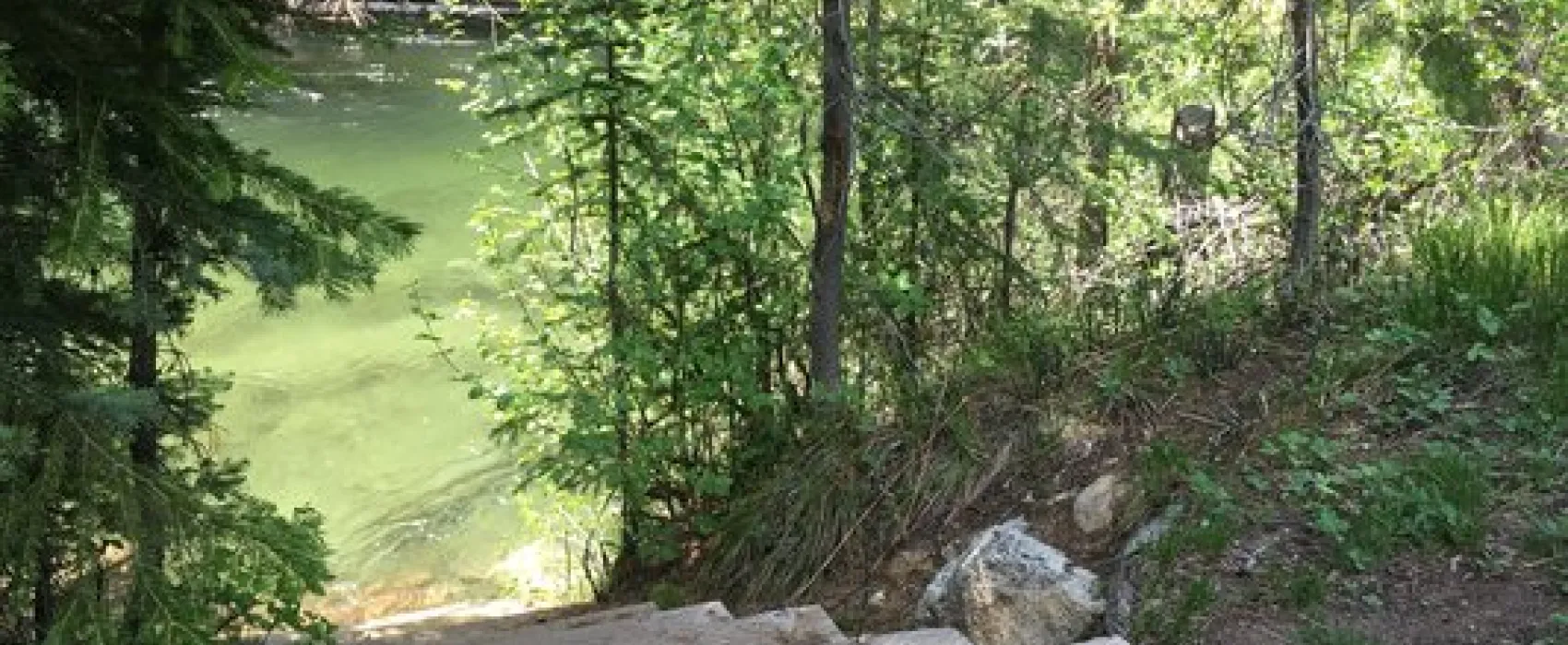 Turkey Flat Forest Camp