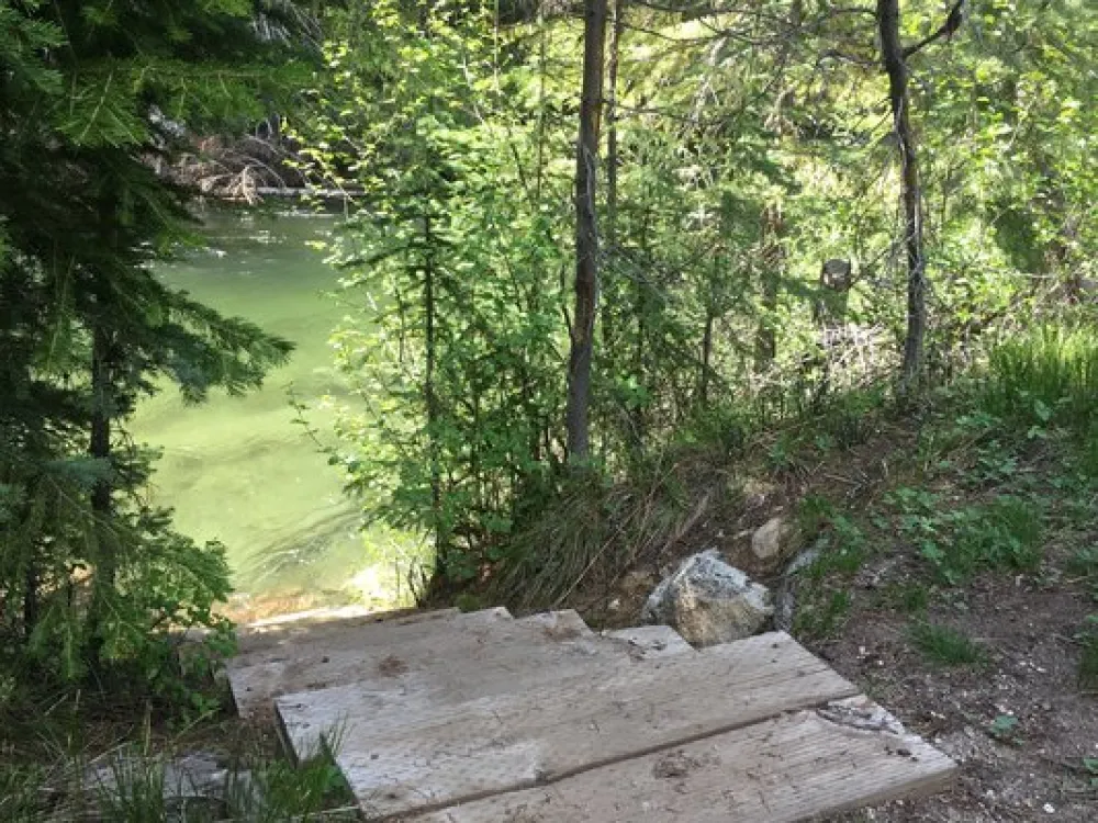 Turkey Flat Forest Camp