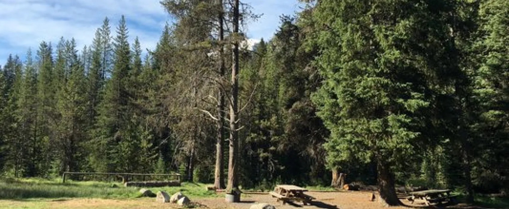 Turkey Flat Forest Camp