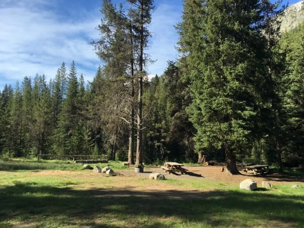 Turkey Flat Forest Camp