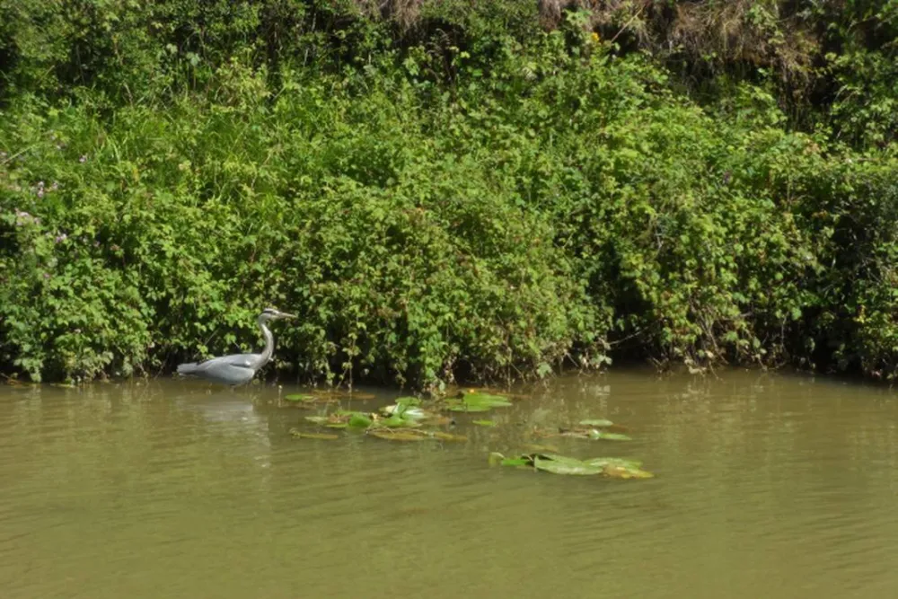 Camping Municipal Orchamps