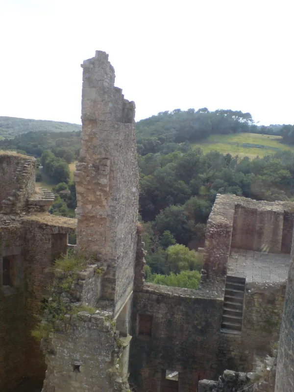 Domaine Troteligotte