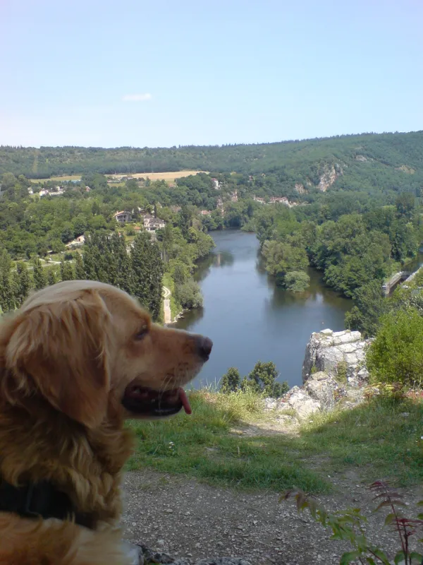 Domaine Troteligotte