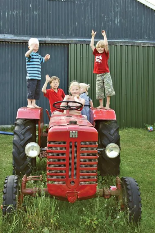 Mini camping De Boltsebroek