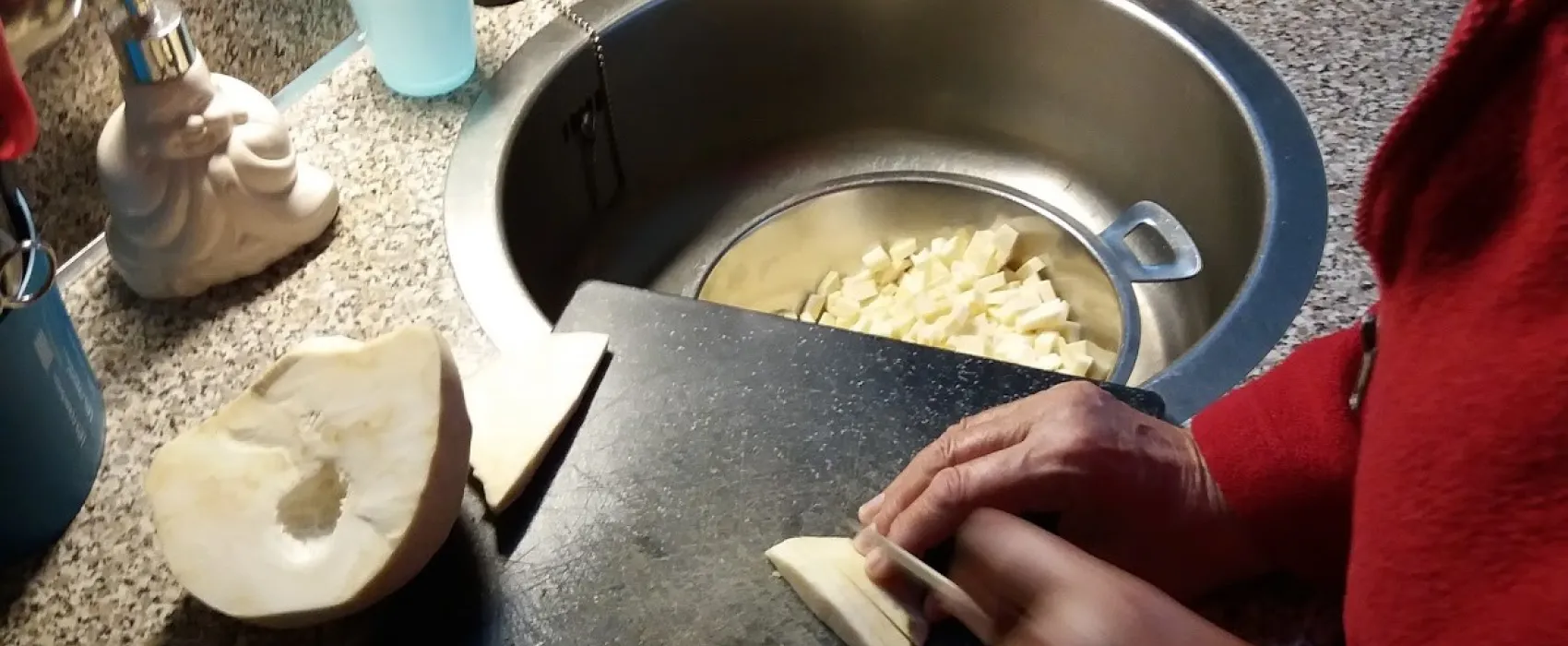 Camping De Hertenweide