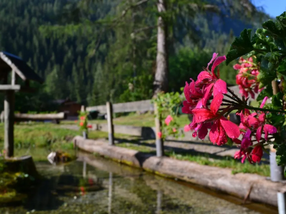 Camping Malga Ciapela Marmolada