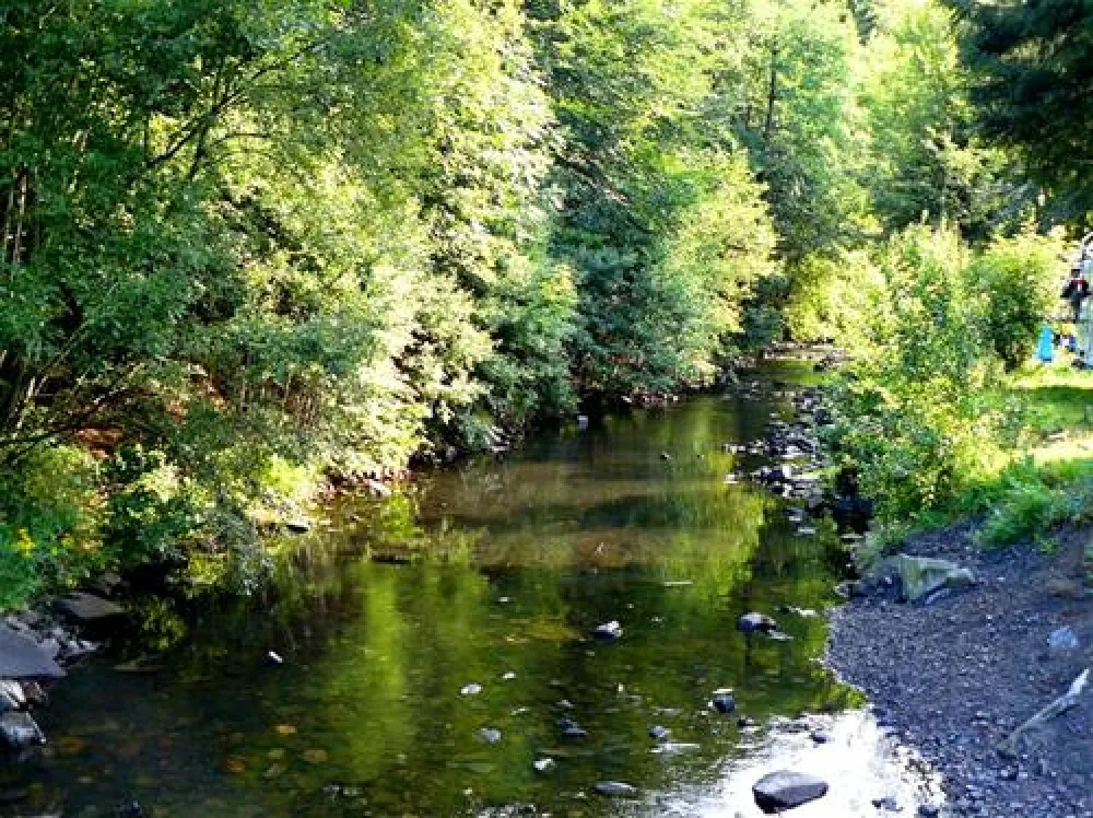 Waldcamping Perlenau