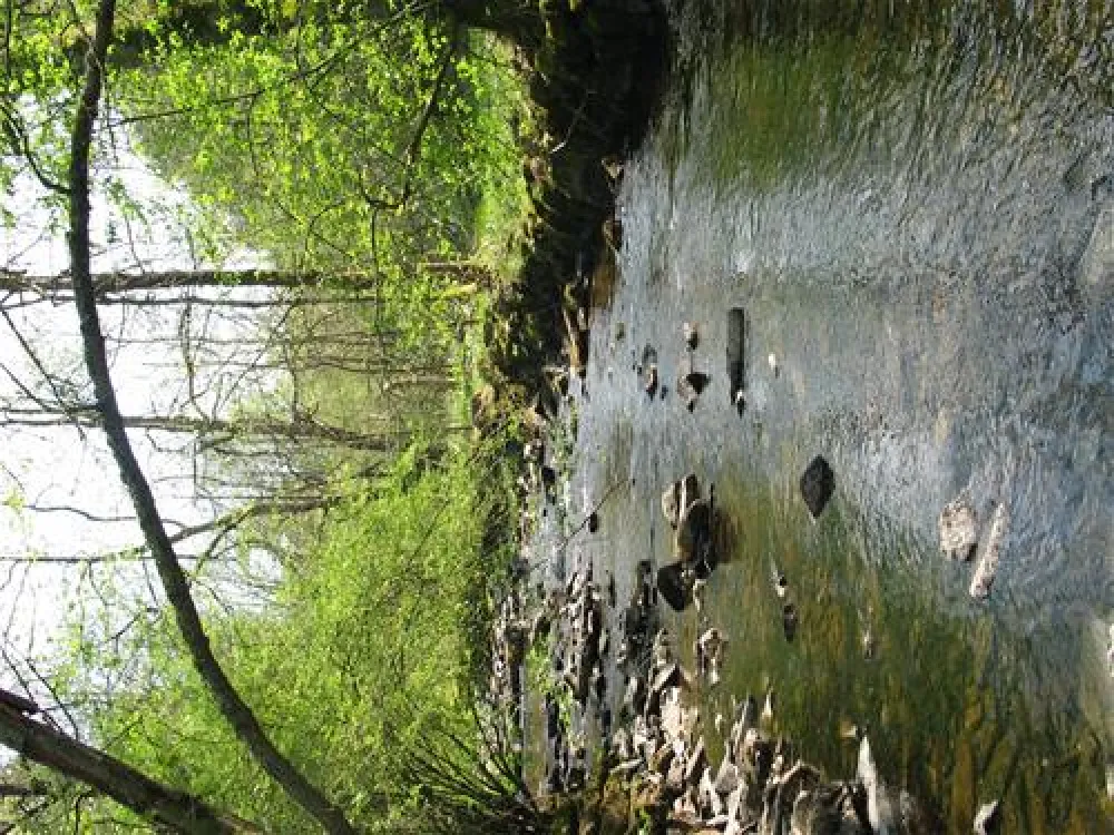 Waldcamping Perlenau