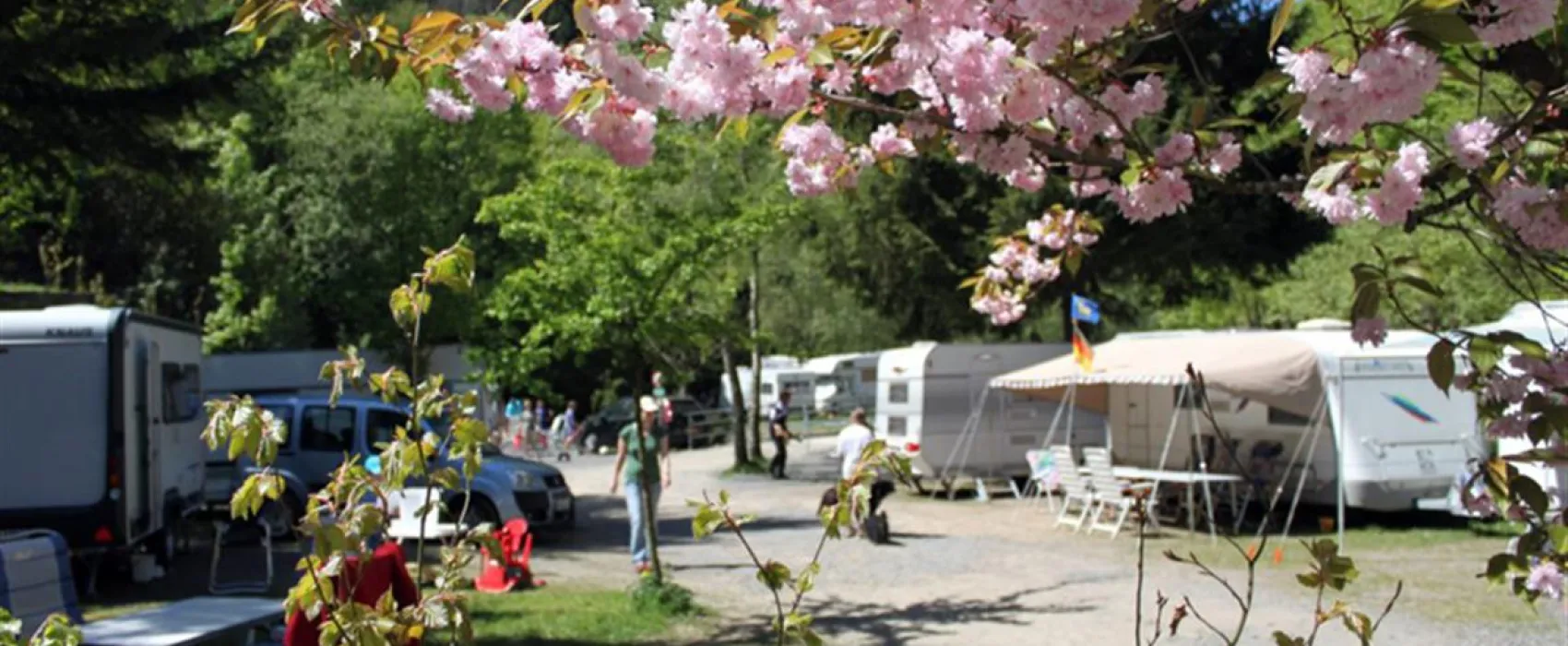 Waldcamping Perlenau