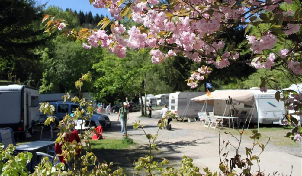 Waldcamping Perlenau