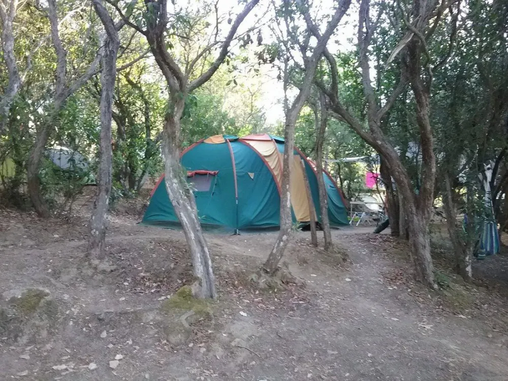 Camping Le Sud