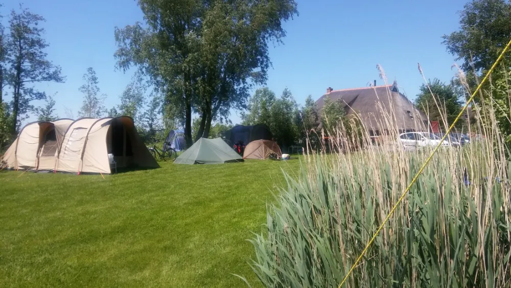 Natuurkampeerterrein De Reidplum