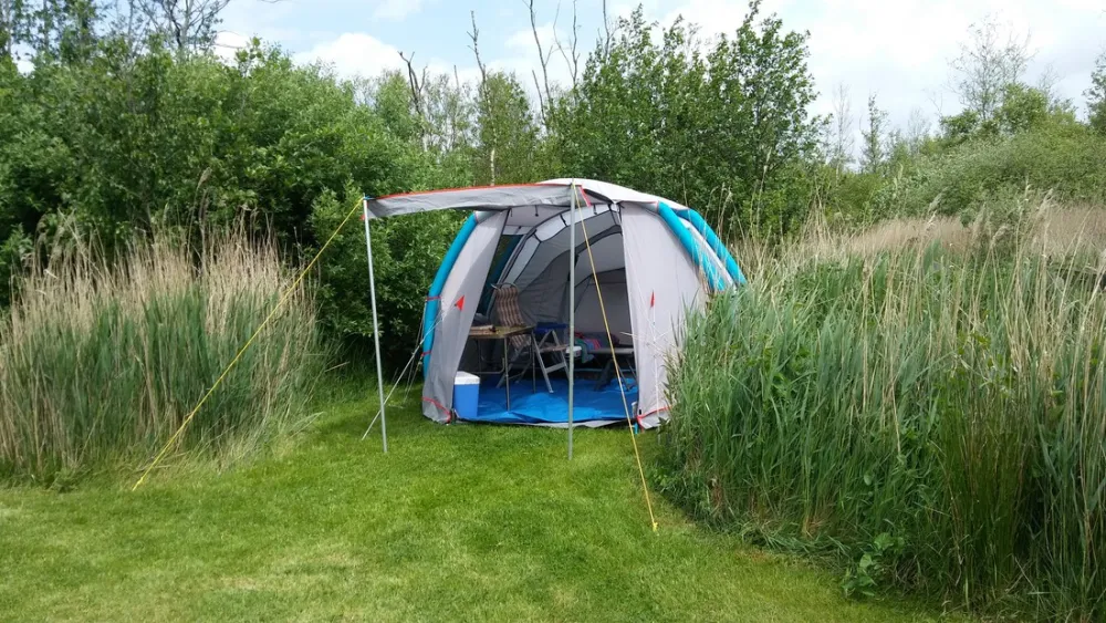 Natuurkampeerterrein De Reidplum