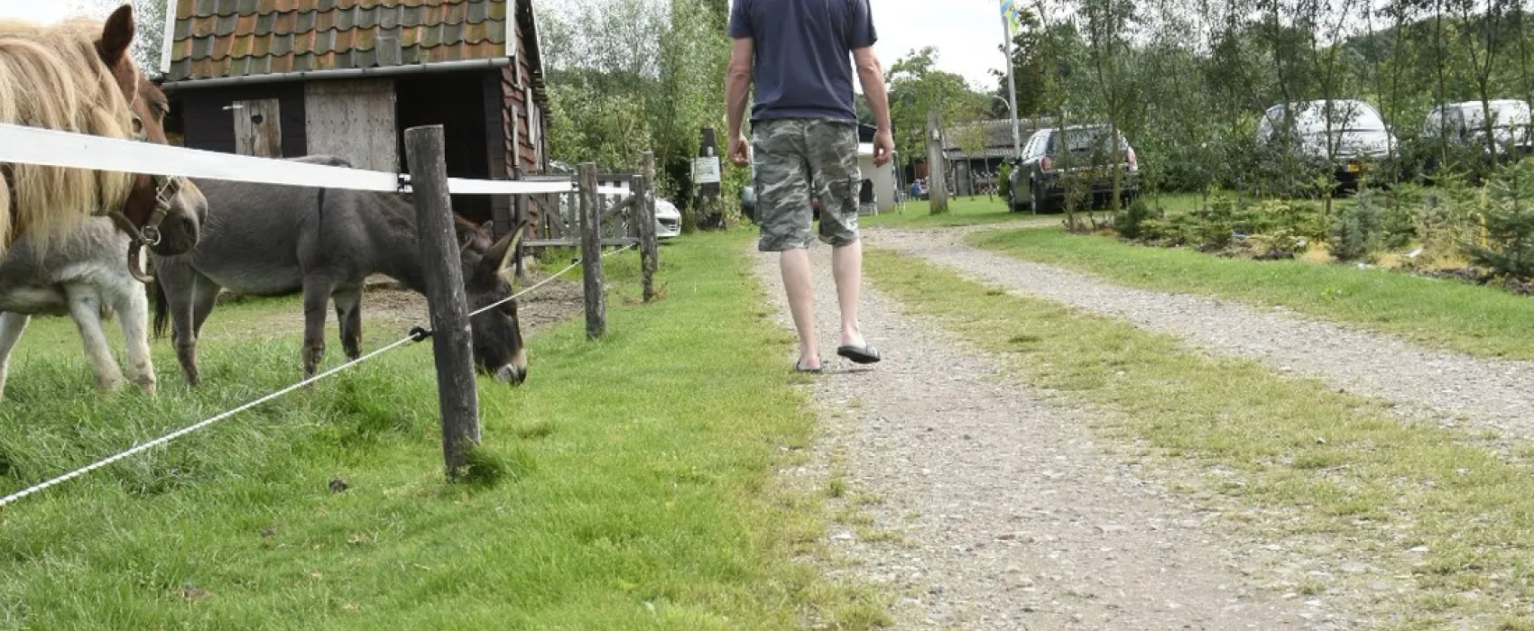 Minicamping de Reekens