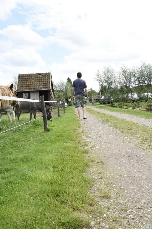 Minicamping de Reekens