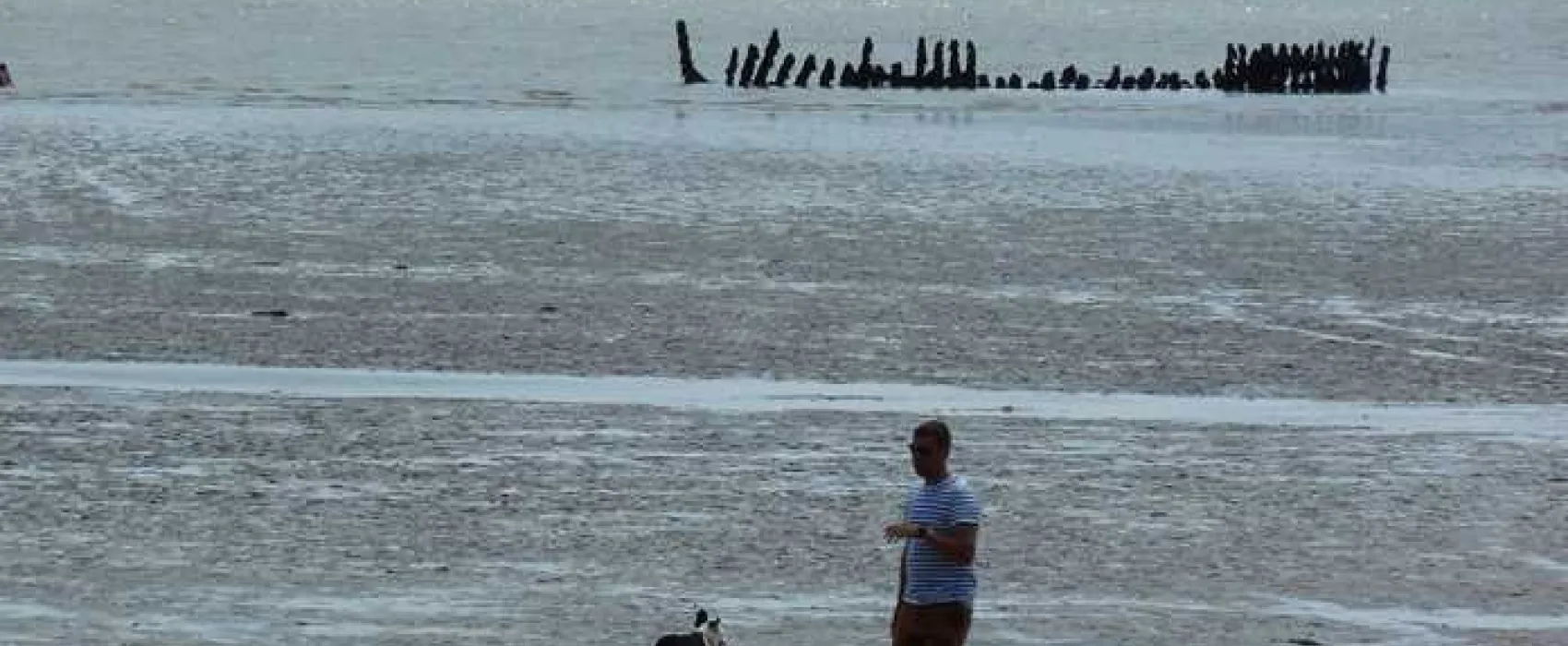 Seaward Holiday Park