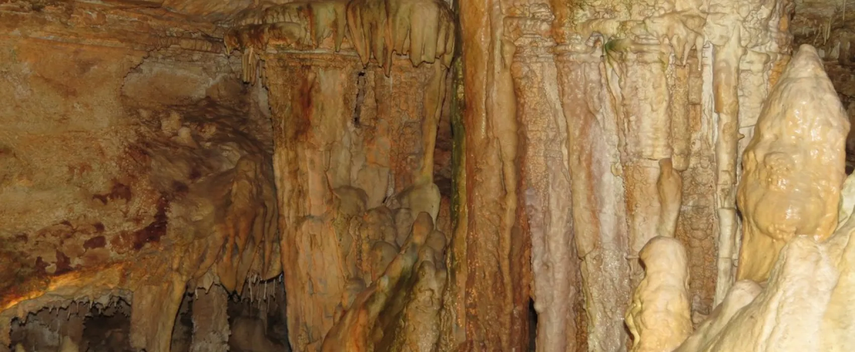 Camping am Hauenstein