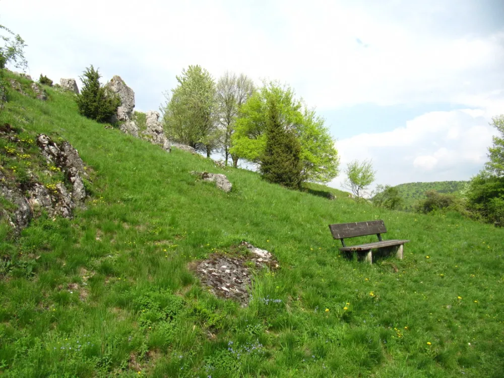 Camping am Hauenstein