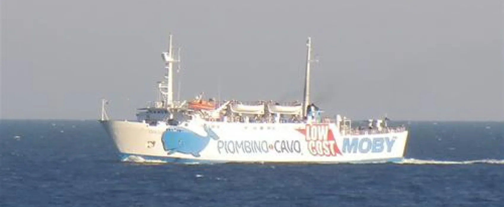 ELBADOC campingvillage