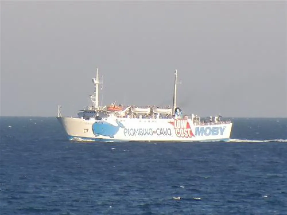 ELBADOC campingvillage