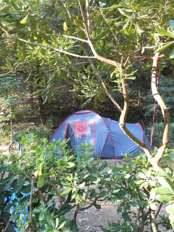 ELBADOC campingvillage