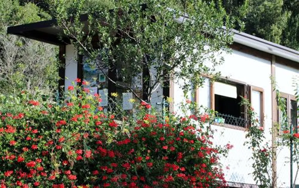 ELBADOC campingvillage