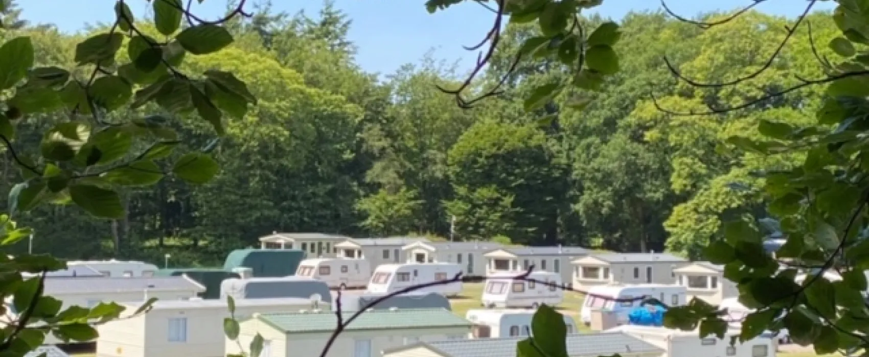 Forest Glade Holiday Park