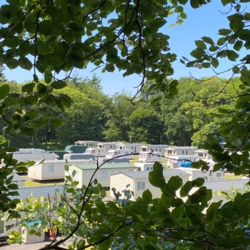 Forest Glade Holiday Park