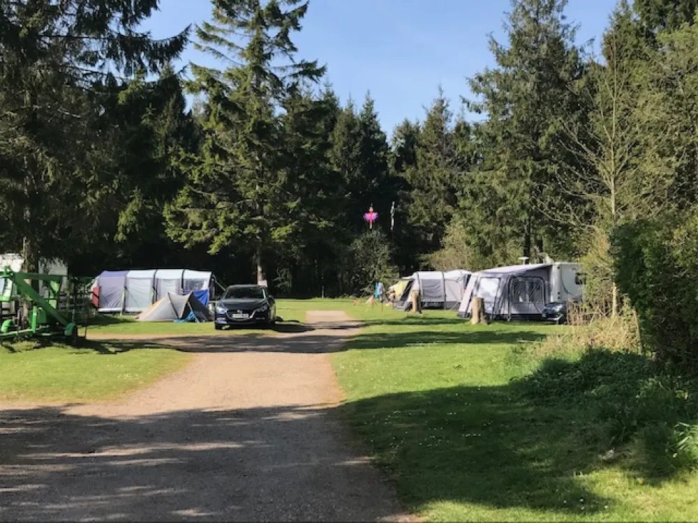 Forest Glade Holiday Park