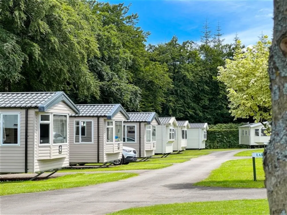 Forest Glade Holiday Park