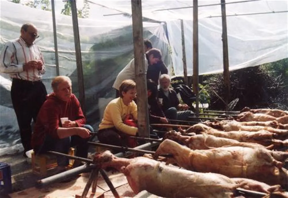 Campsite Meteora Garden