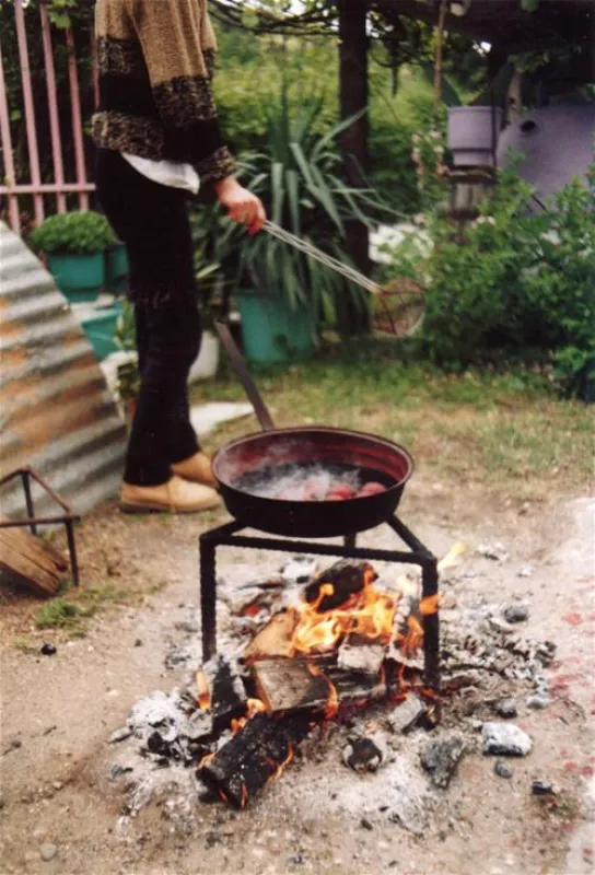 Campsite Meteora Garden