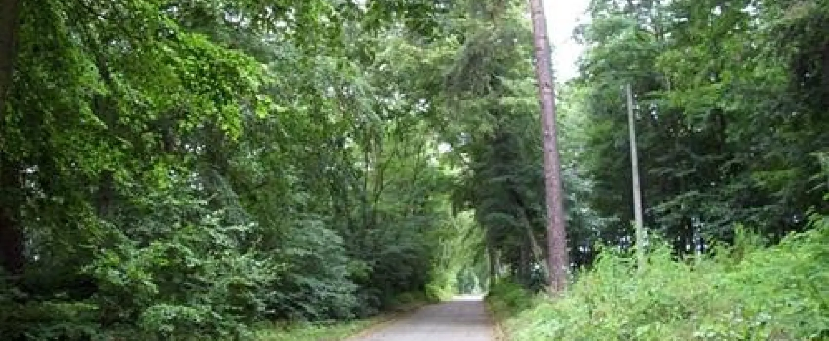 Campingplatz am Liepnitzsee