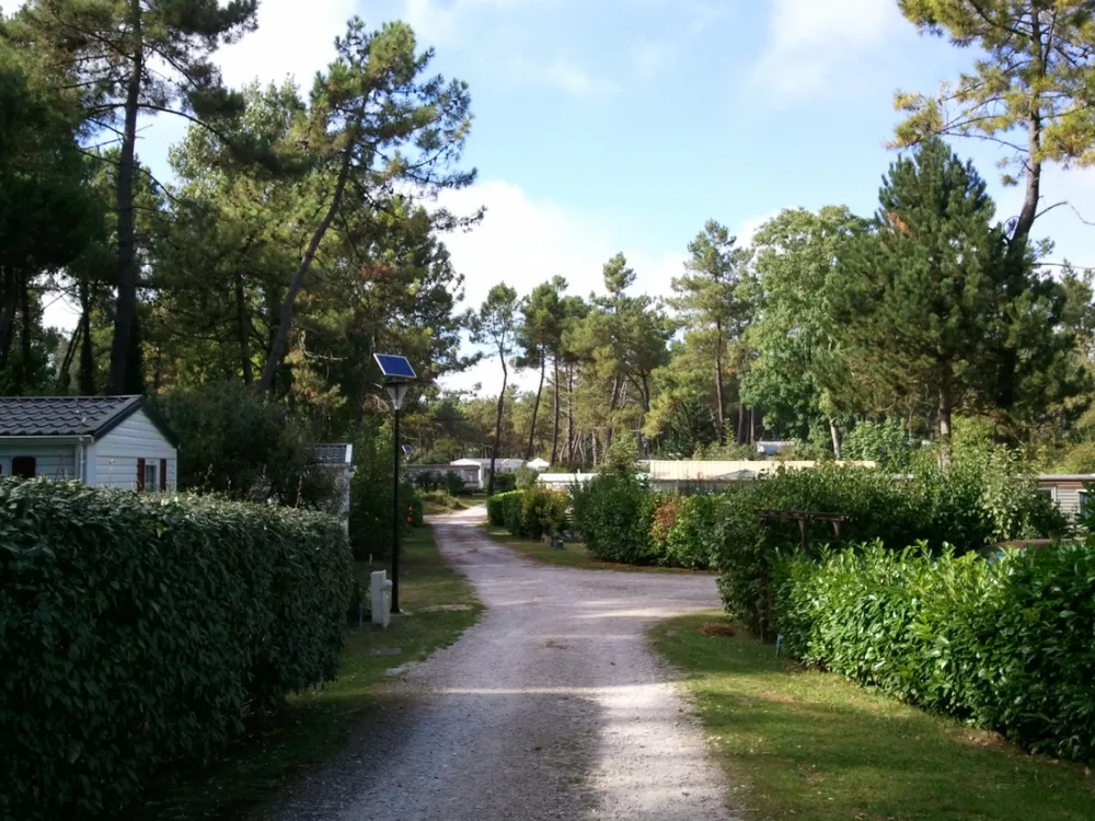 Camping La Dune Blanche